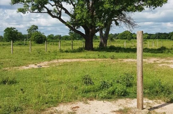 Prime Location Plot in Malindi