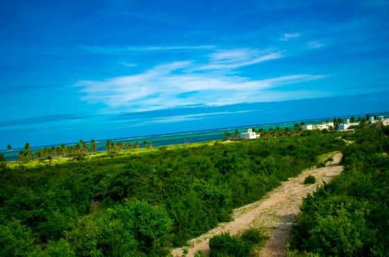 Prime Beach Plot – 1/4 Acreage per Portion