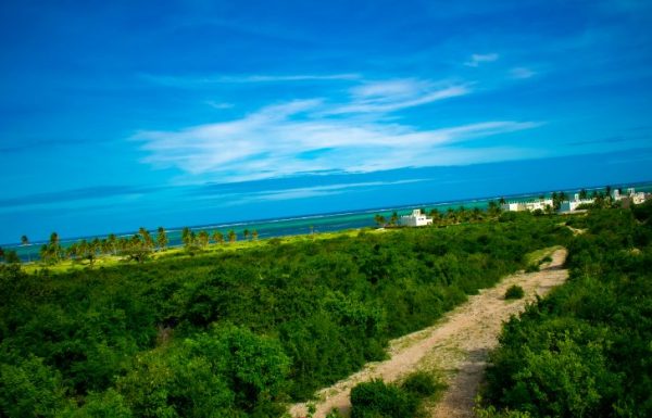 DSC_0296-835×467