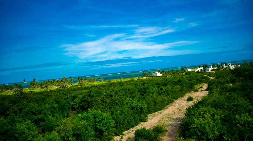 DSC_0296-835×467