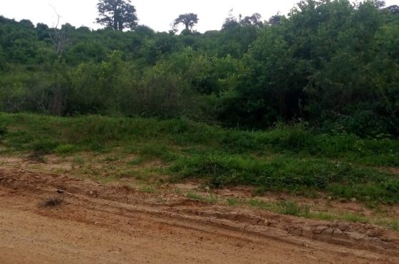20 Acres Near Sabaki