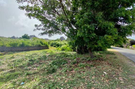 1/4 Acres Endearing Plots for Sale in Malindi