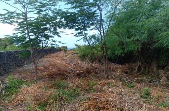 1 Acre Beach Plot for Sale