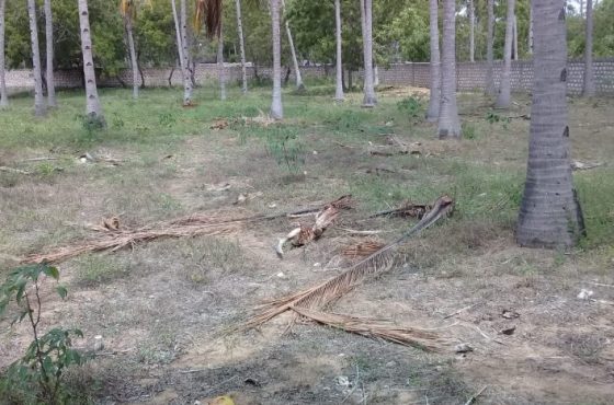 1 Acre Land along the tarmac road in Watamu for Sale