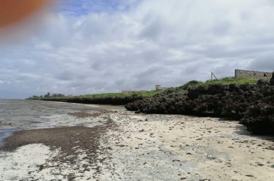 4 Acres Beach Plot – Watamu