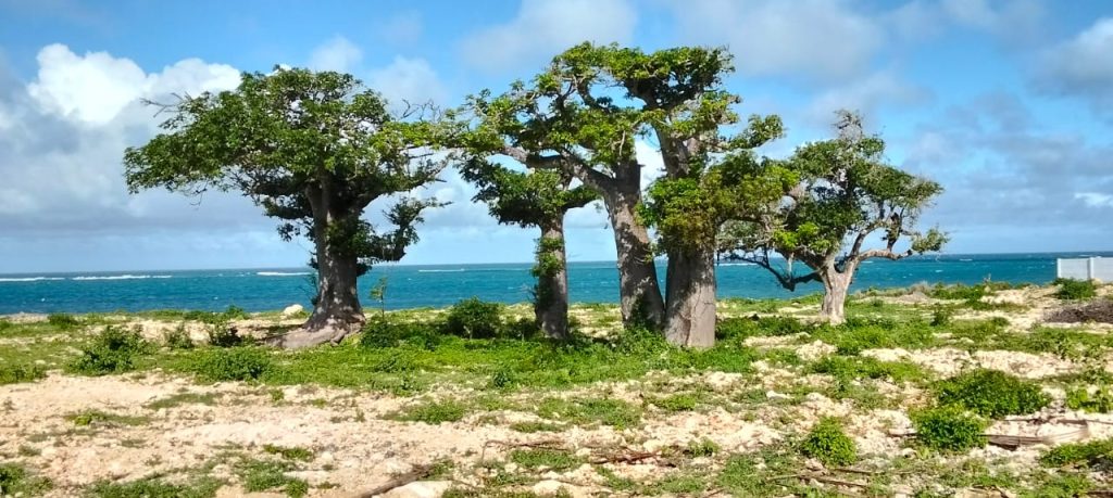 WhatsApp Image 2025-07-11 at 08.15.01 (1)