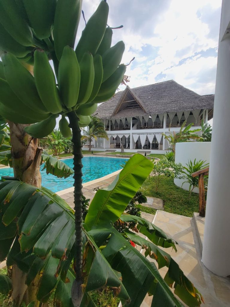 PHOTO-2025-09-08-17-38-10