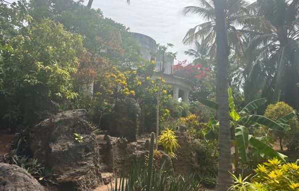 WhatsApp Image 2026-01-09 at 12,27,14 PM-Picsart-AiImageEnhancer