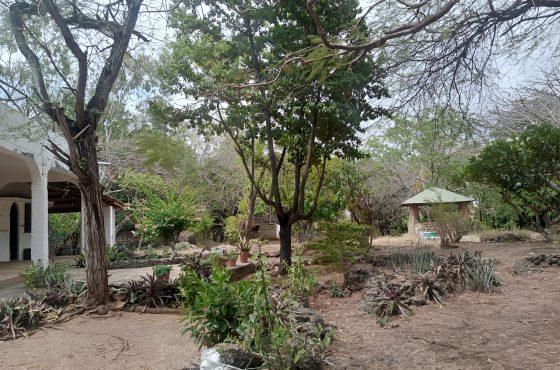 Prime land for sale – Casuarina Malindi