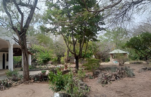 WhatsApp Image 2026-01-19 at 3,39,11 PM-Picsart-AiImageEnhancer