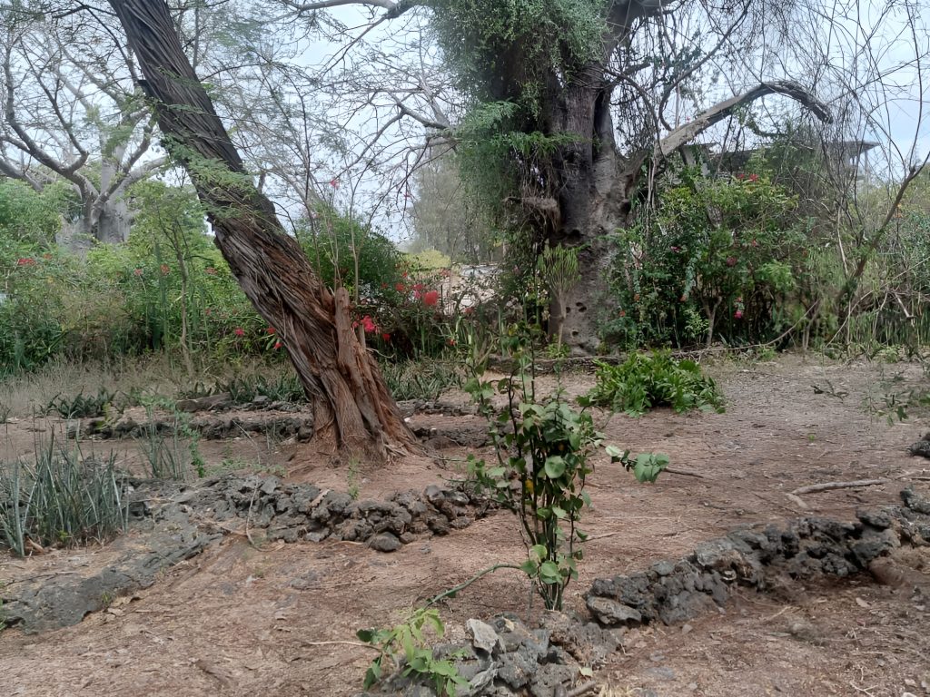 WhatsApp Image 2026-01-19 at 3,39,13 PM (1)-Picsart-AiImageEnhancer