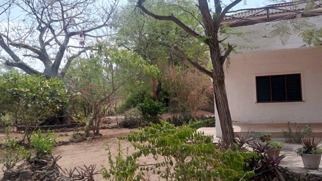WhatsApp Image 2026-01-19 at 3,39,16 PM (1)-Picsart-AiImageEnhancer