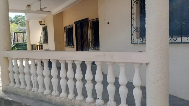 Palombo -11