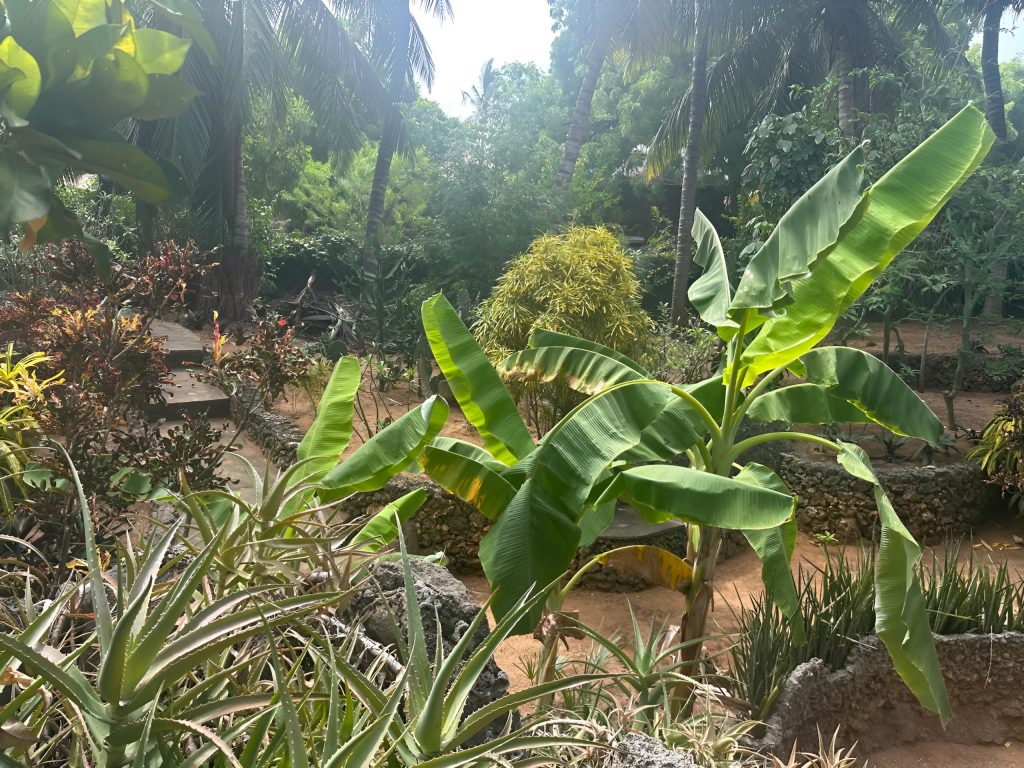 Watamu-7