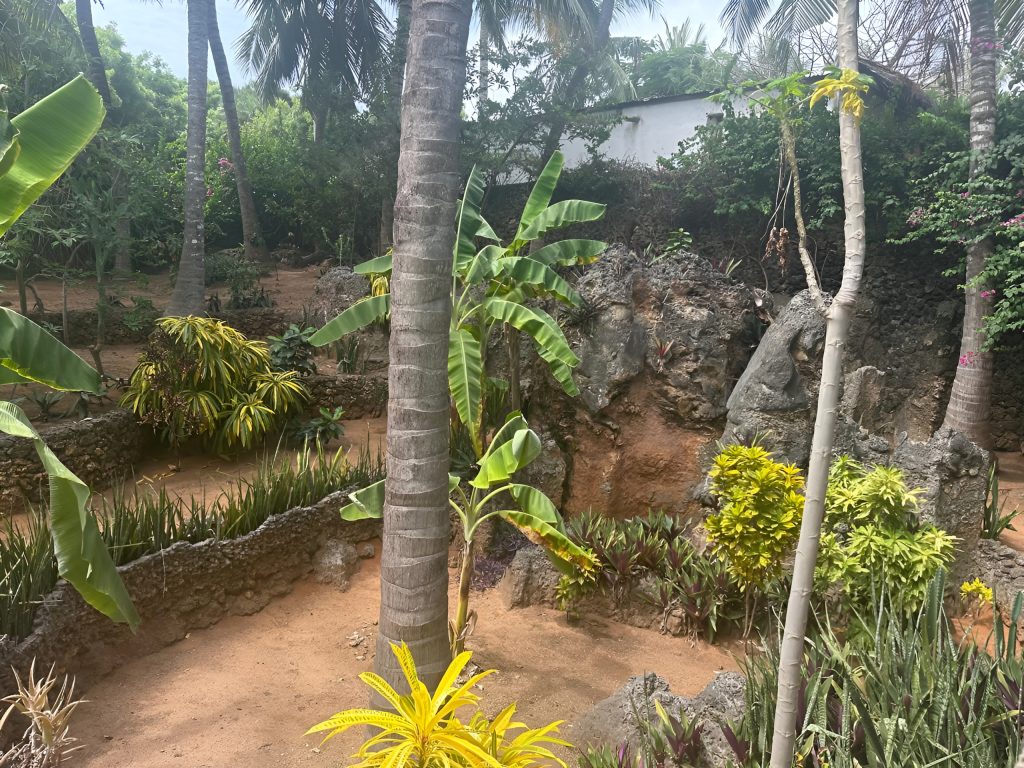 Watamu-8