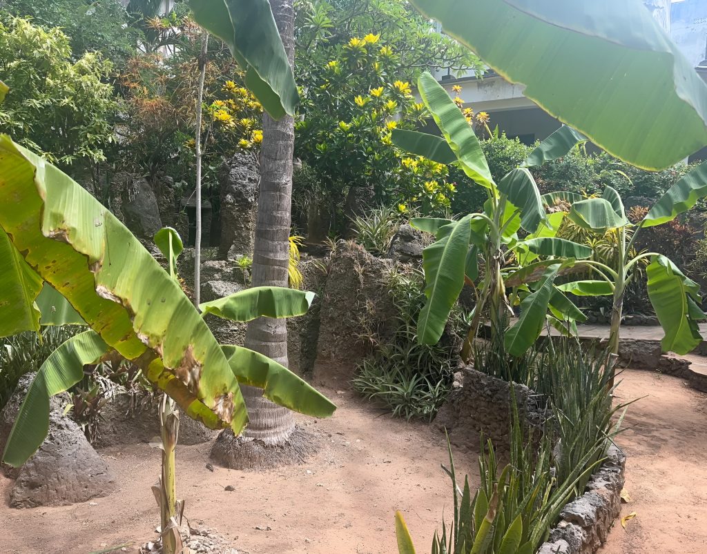 Watamu-9