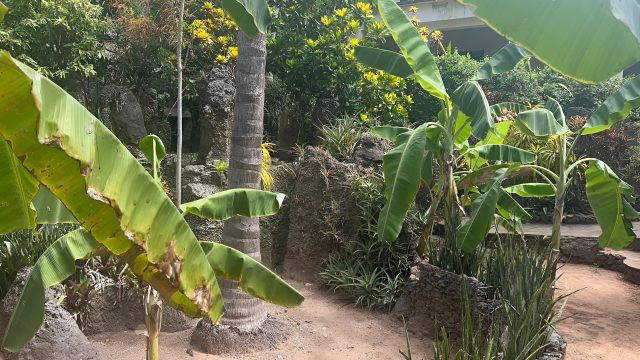 Watamu-9